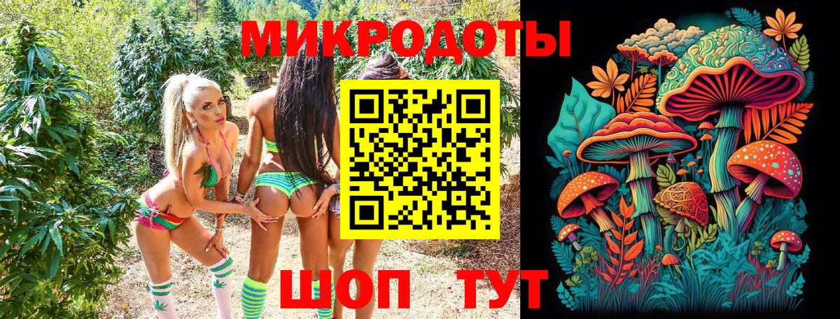 Псилоцибиновые грибы Psilocybine cubensis Рассказово