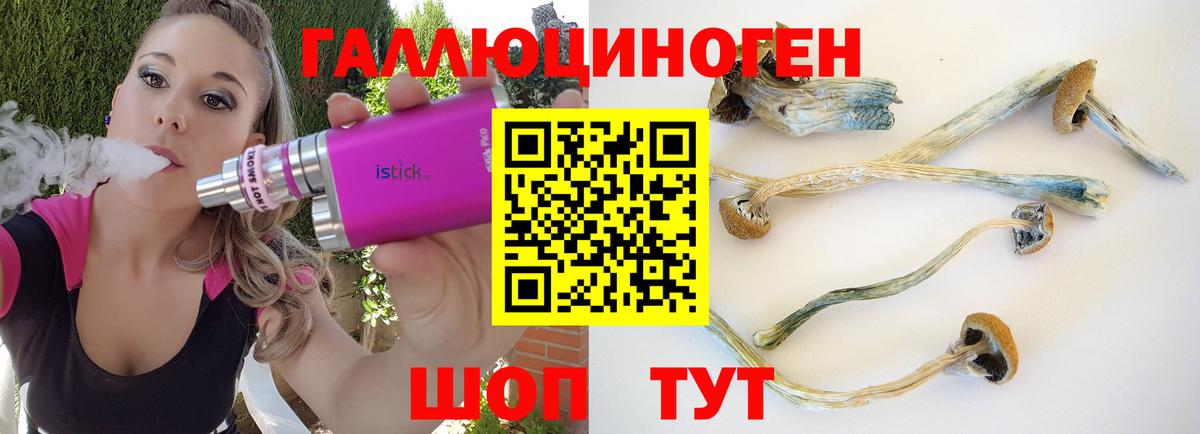 Галлюциногенные грибы GOLDEN TEACHER  Псилоцибиновые грибы Psilocybe  Рассказово  Вход с VPN 